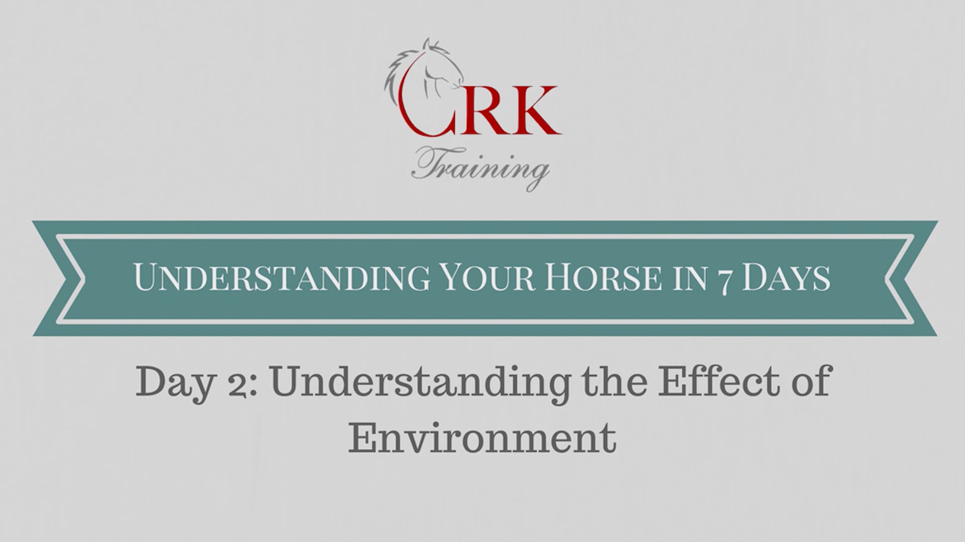 The Effect Of The Environment