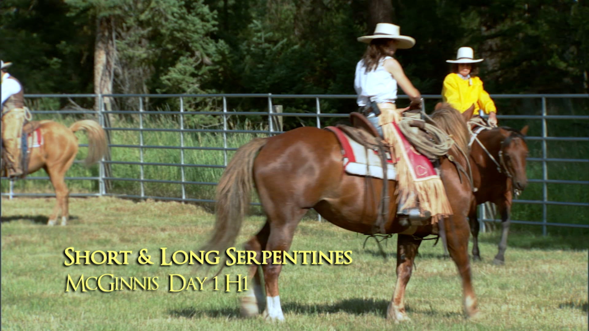 Long & Short Serpentines