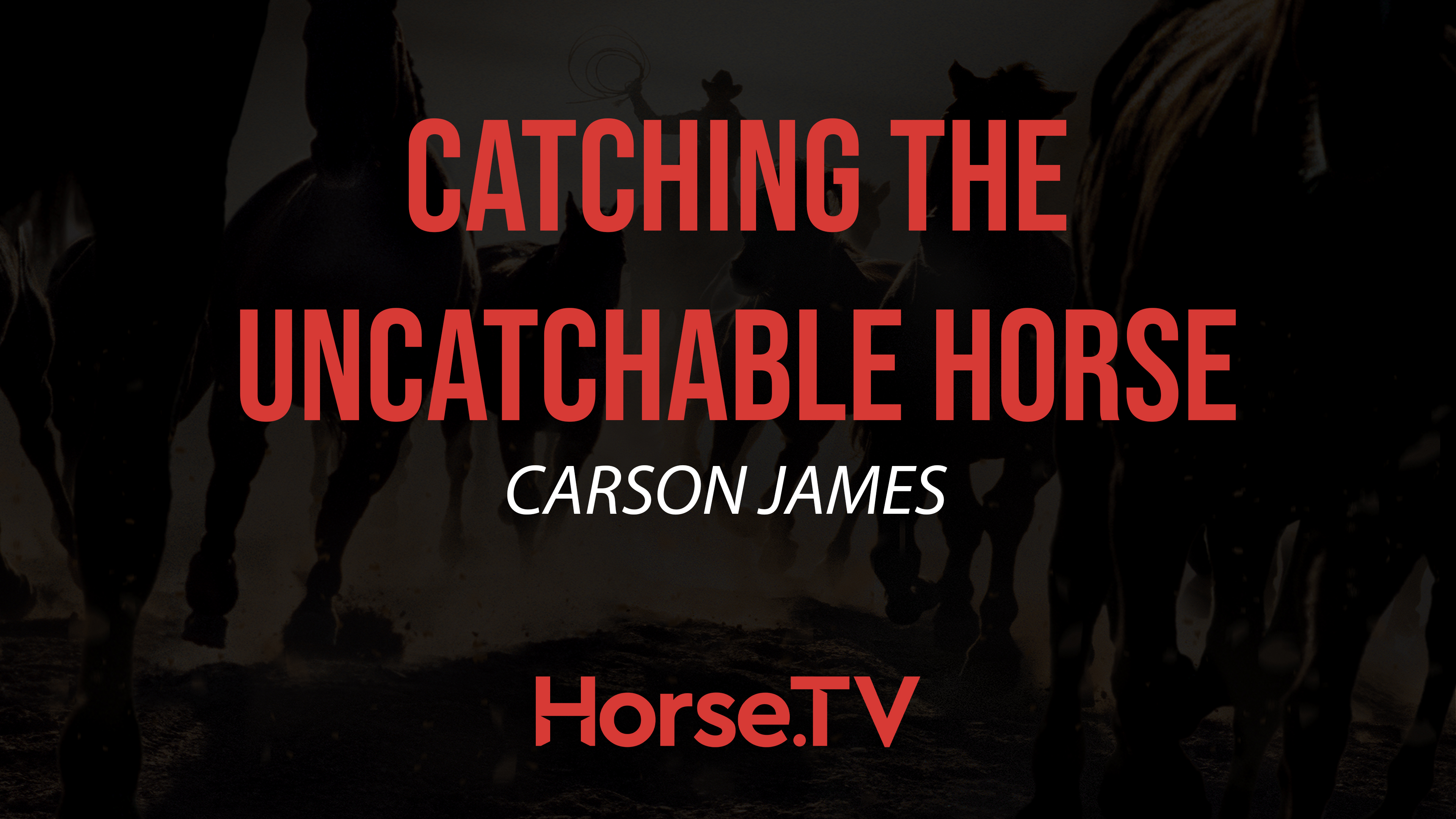 Catching The Uncatchable Horse