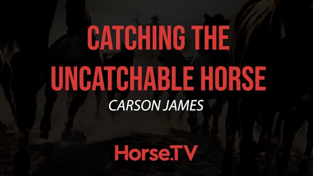 Catching The Uncatchable Horse