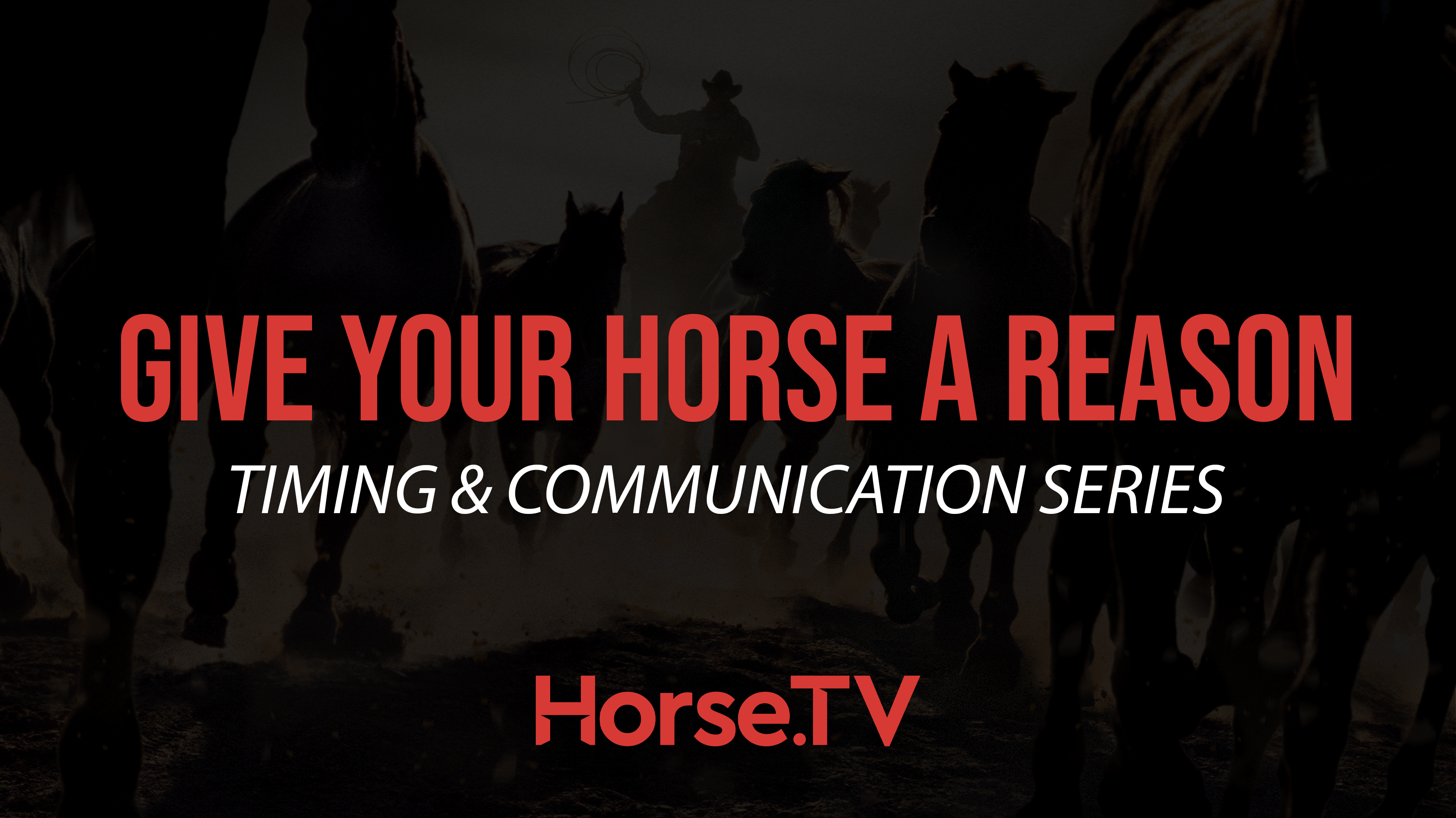 Give Your Horse A Reason