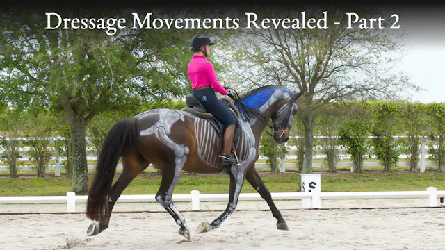 Dressage Movements Revealed - Part 2