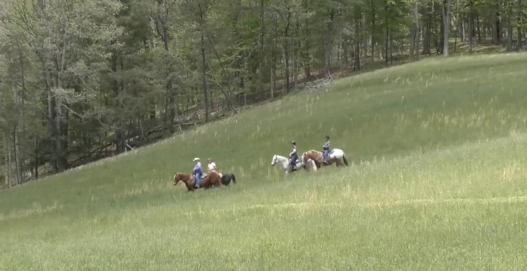 Valley Meadow Farms | Maryland