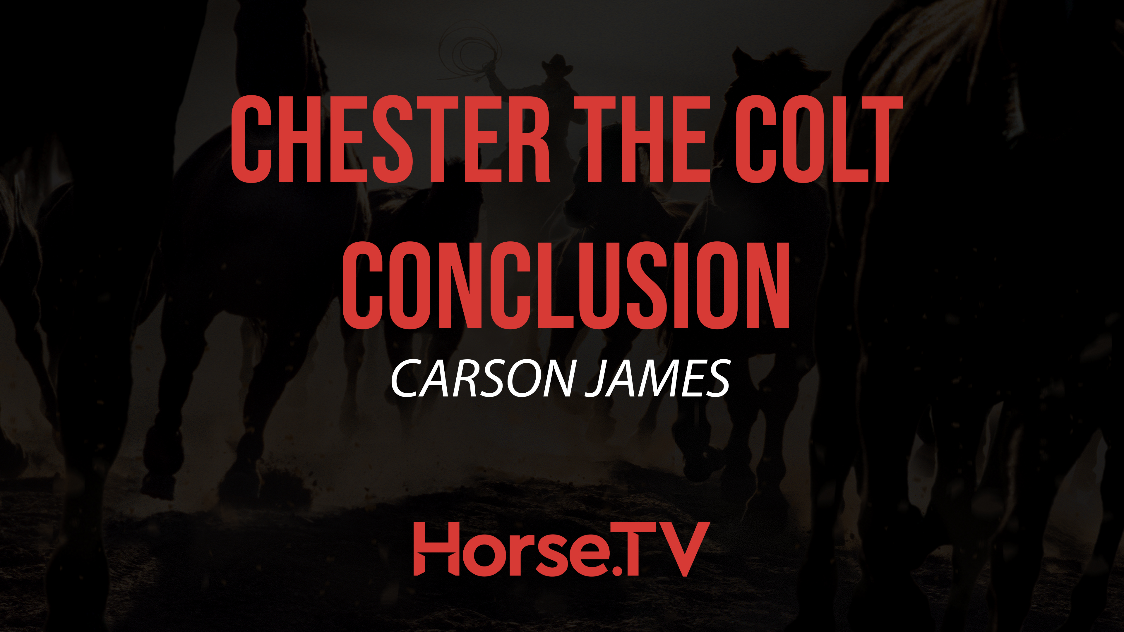 Chester The Colt Conclusion