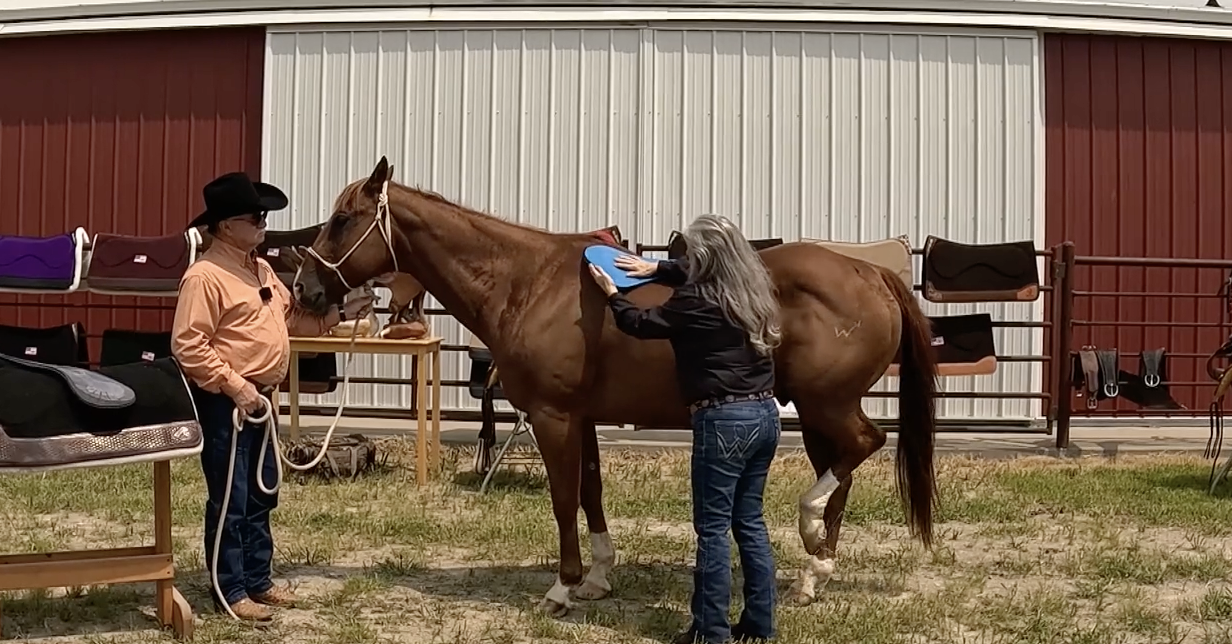 CSI Saddle Pad Fitting and Production | Missouri