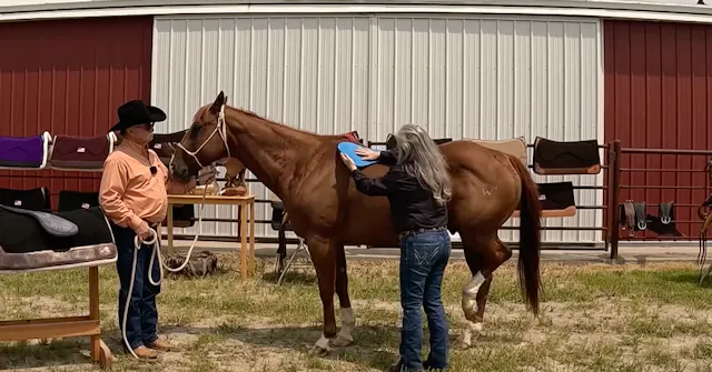 CSI Saddle Pad Fitting and Production...