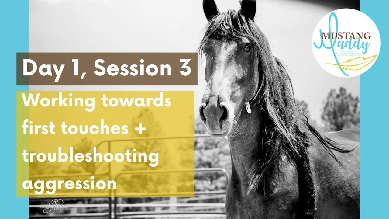First Touches | Aggression - Taming A Wild Mustang - Horse.TV