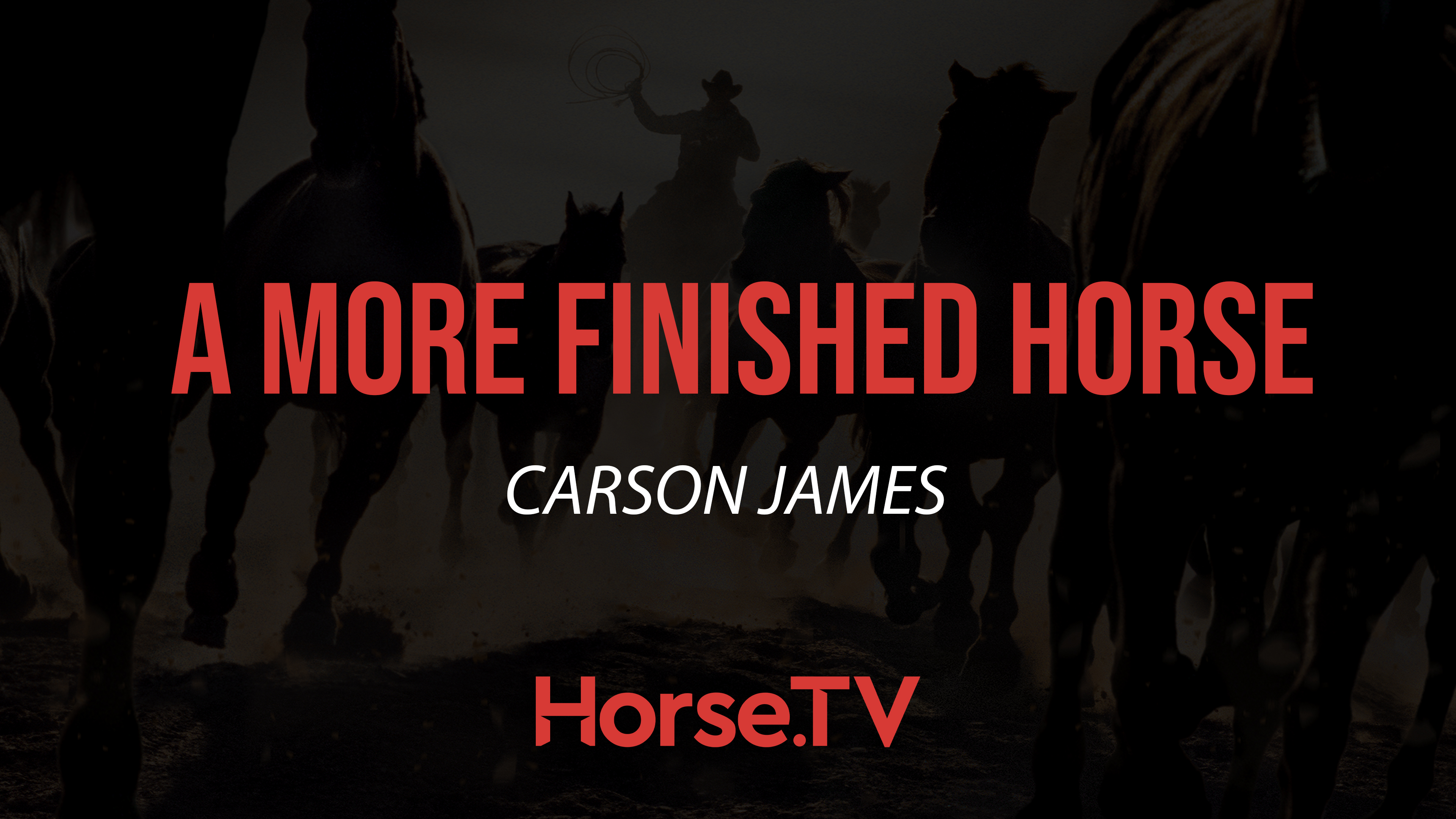 A More Finished Horse