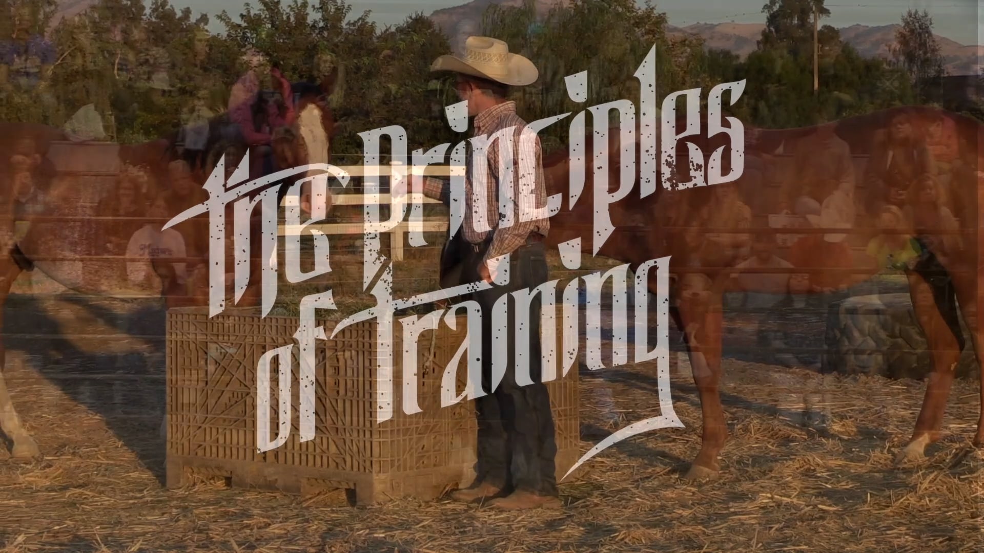 Change One Thing At A Time