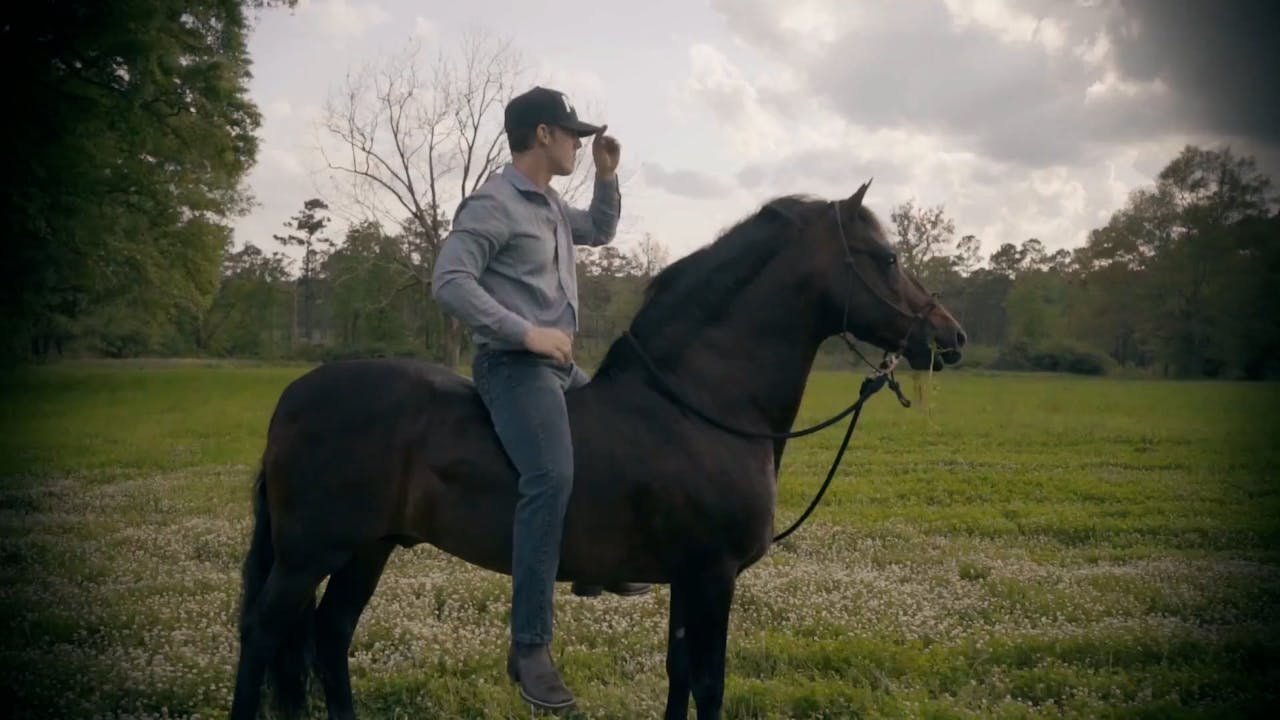 The Horse Guru Trailer Horse.TV