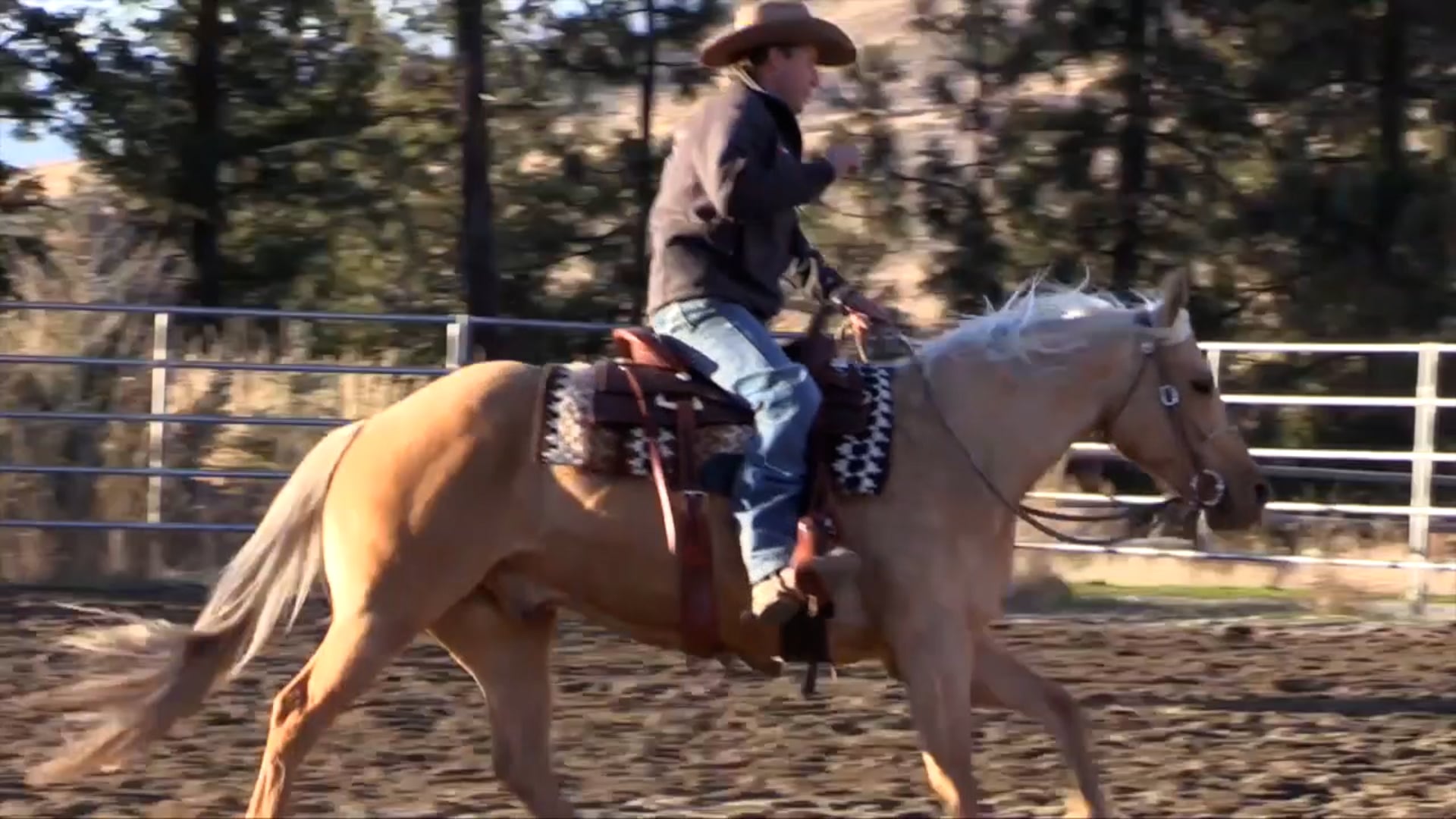 Seat And Leg Position