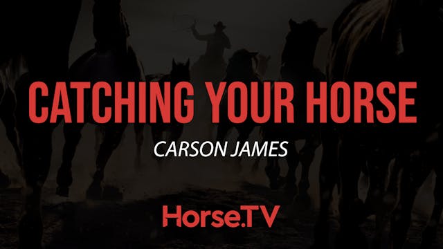 Catching Your Horse