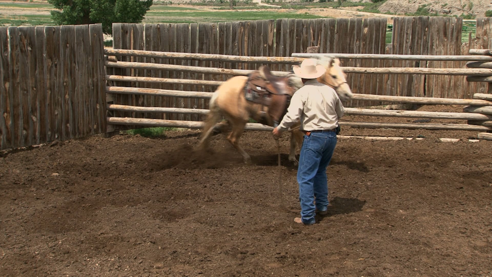 Episode 11 | Cues R Us