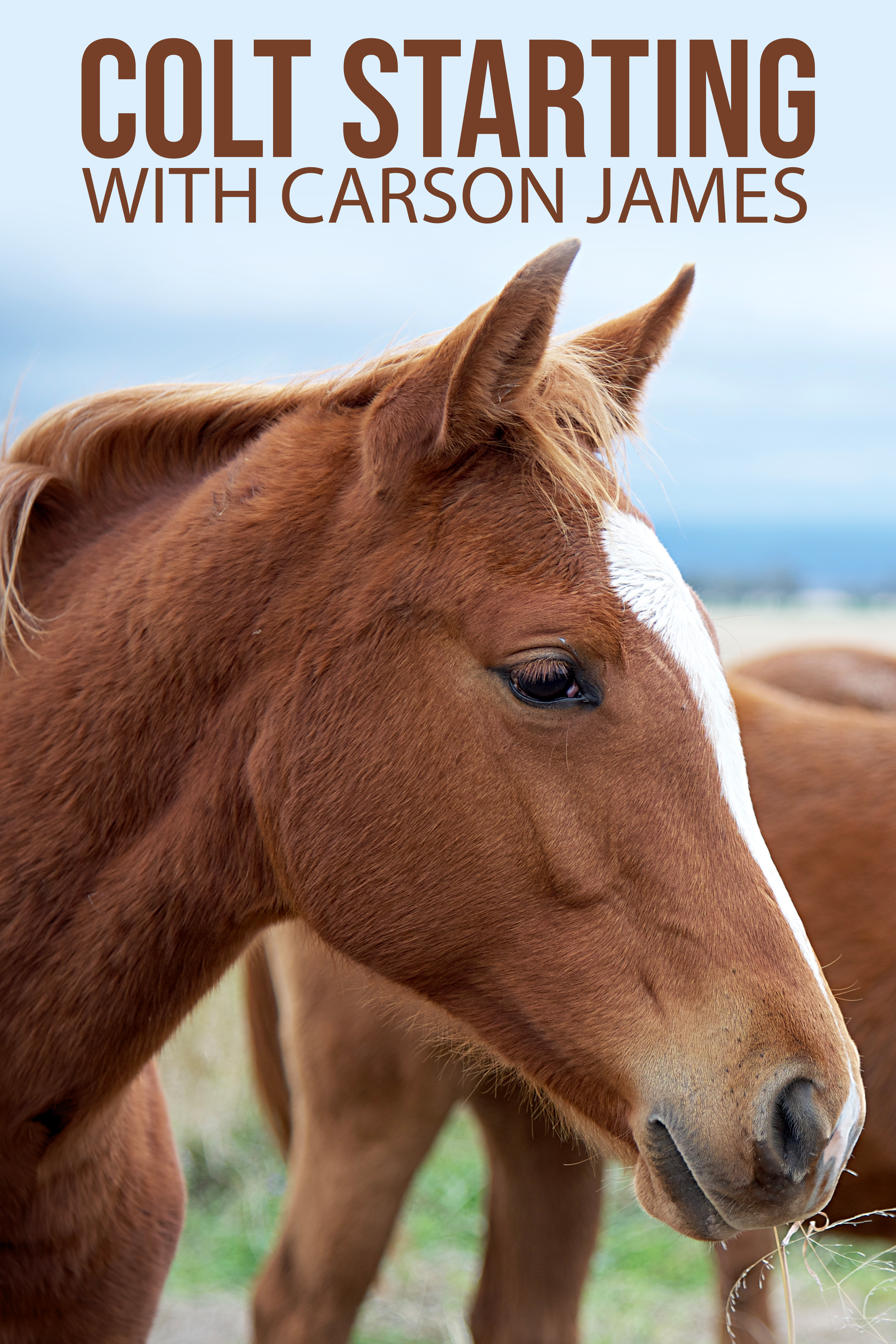 Colt Starting | Carson James