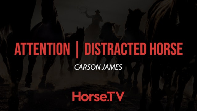 Attention | Distracted Horse