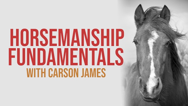 Horsemanship Fundamentals