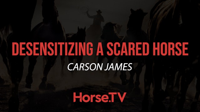 Desensitizing A Scared Horse