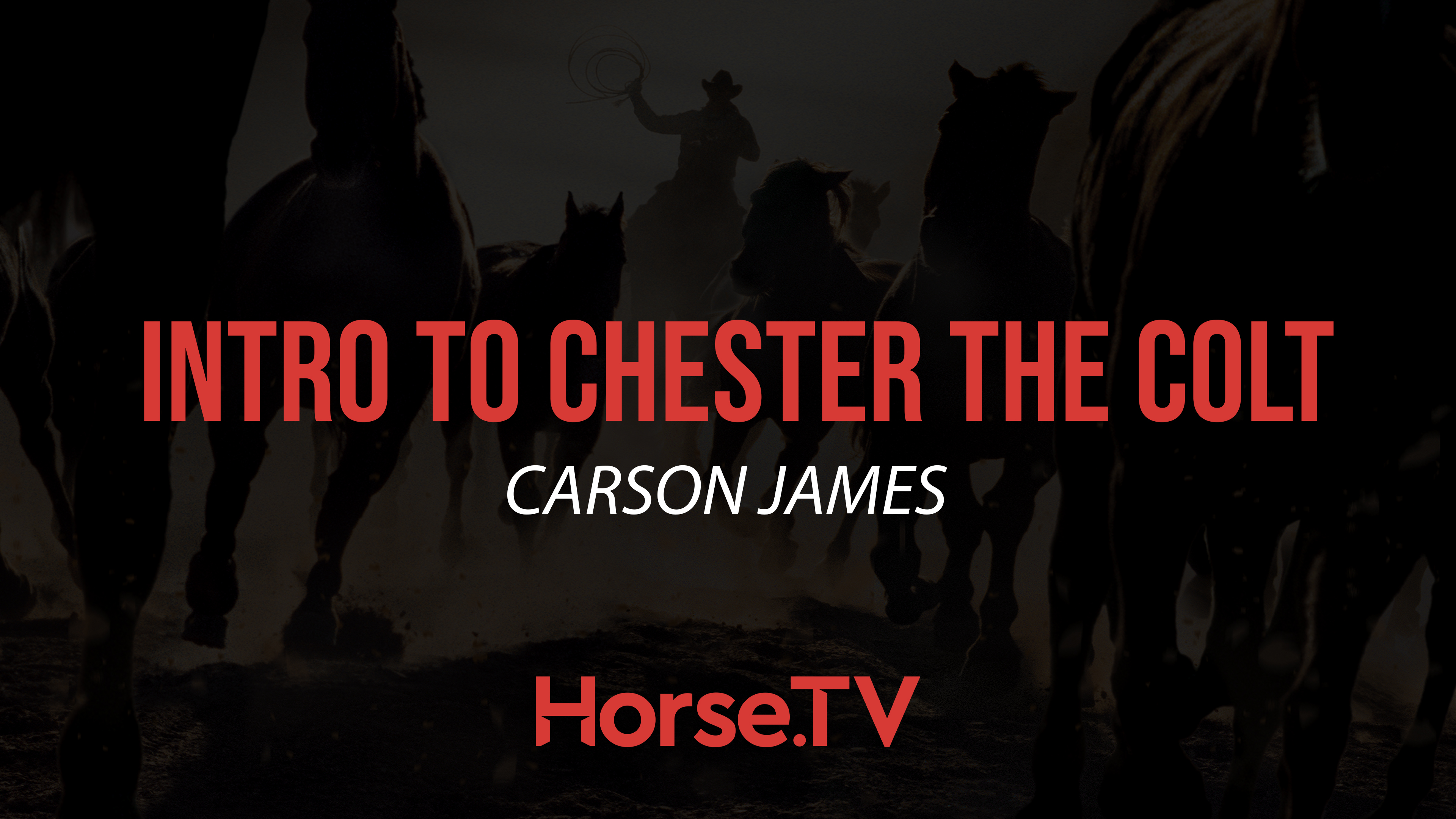 Intro To Chester The Colt