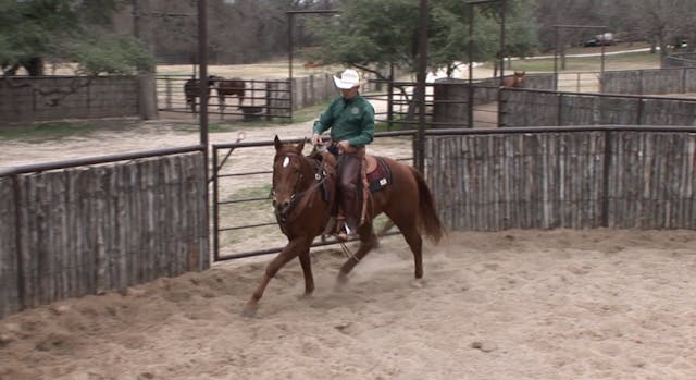 Episode 02 | The Perfect Horse - Pt 2