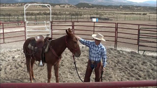 Lateral Flexion With A Mule