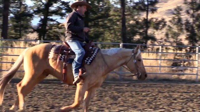 Tying Your Horse