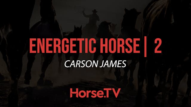Energetic Horse |2