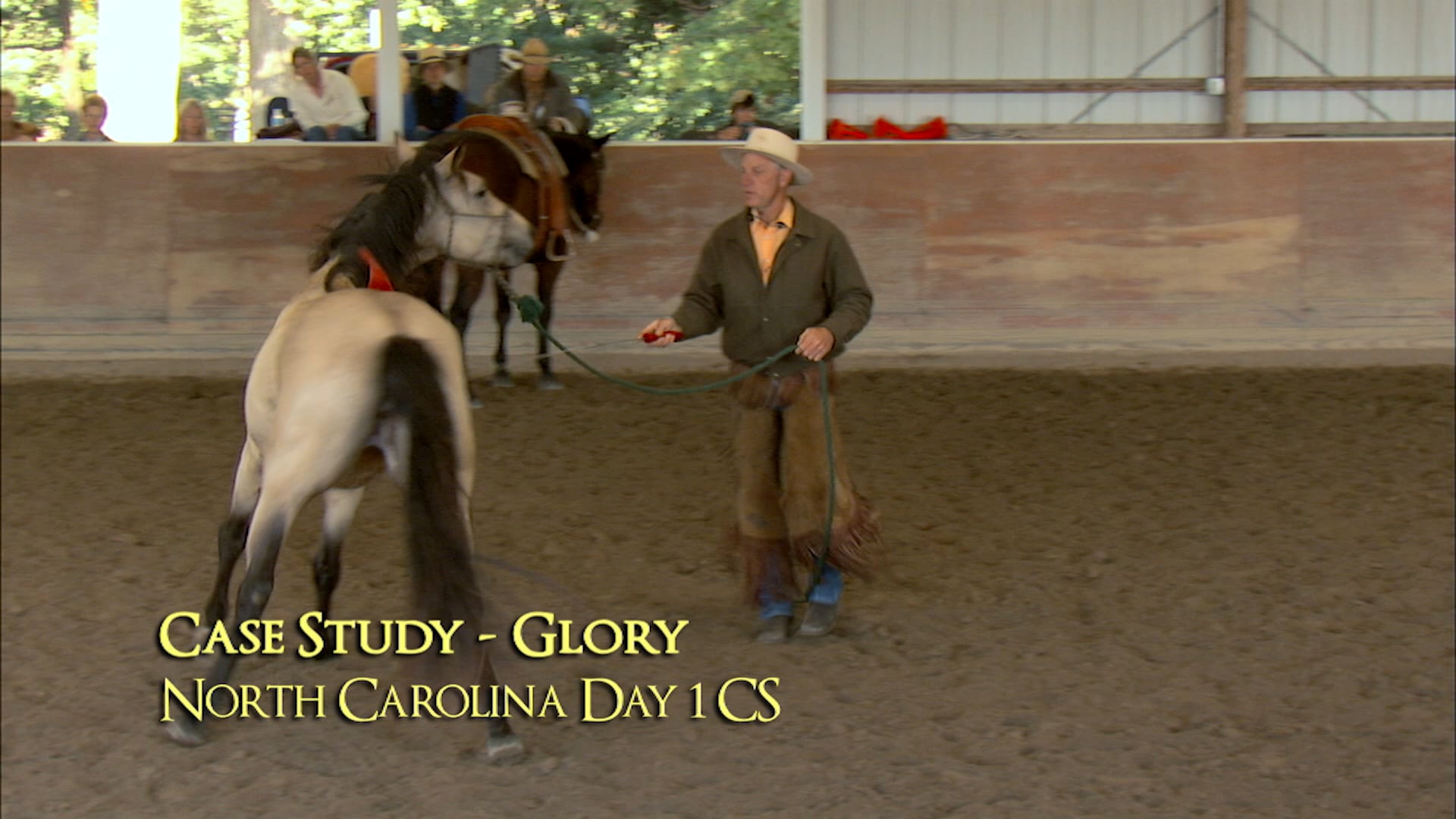 Groundwork | Anxious Horse