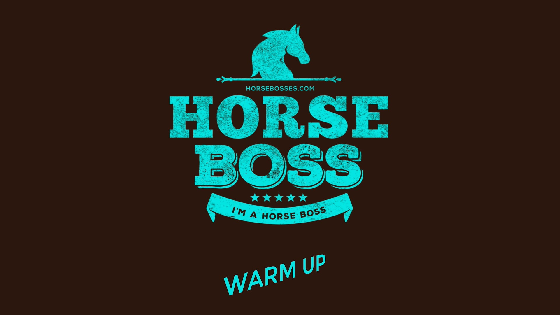 Warm Up A Barrel Horse