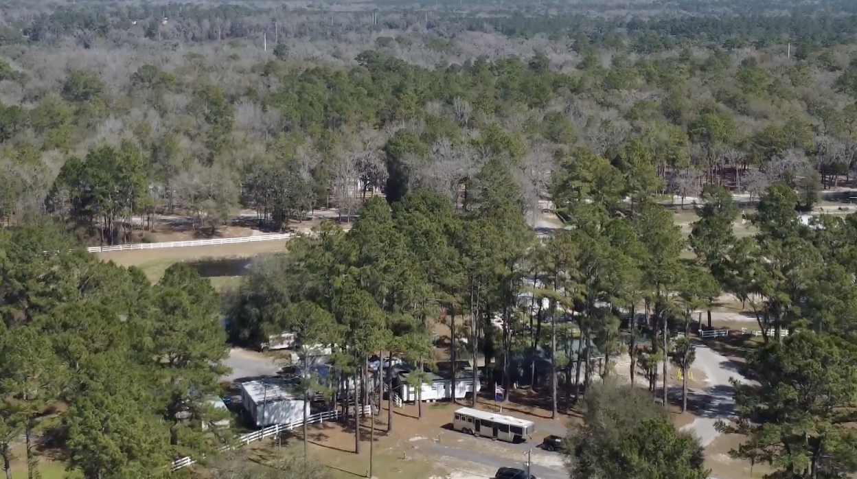 Spirit of the Suwannee Music Park | Florida
