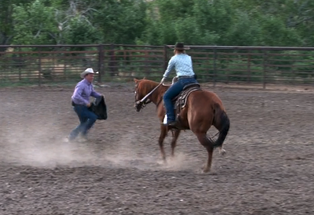 Episode 11 | Spook Proof Your Horse