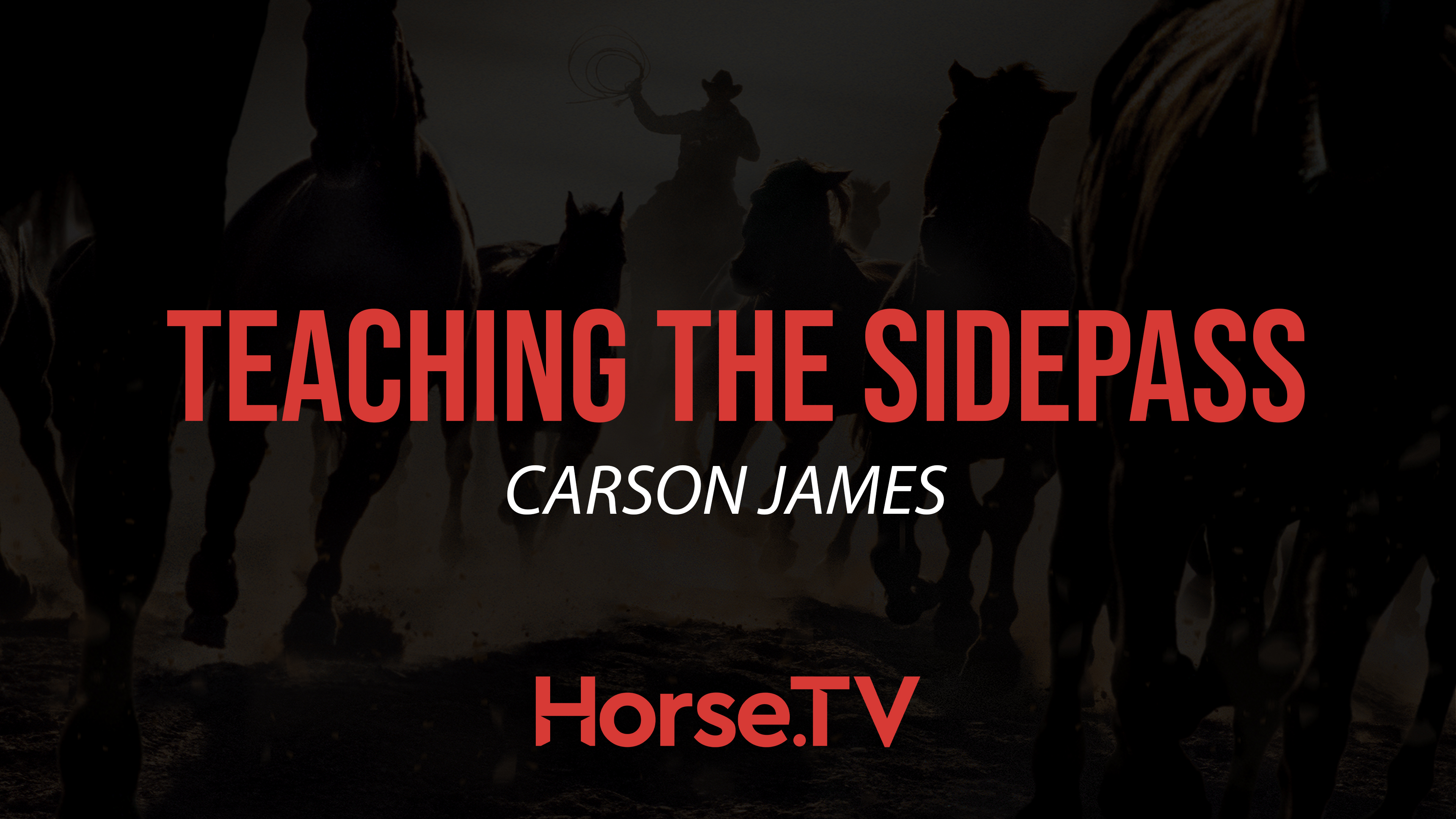 Teaching The Sidepass