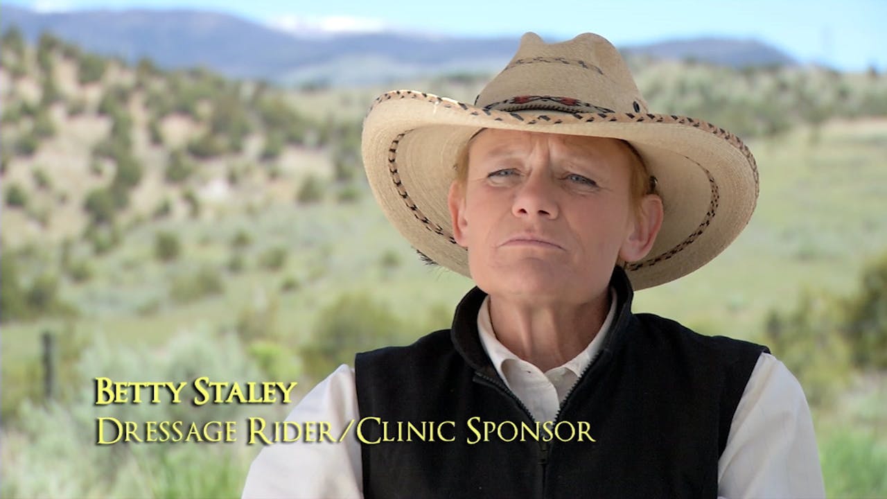 Collection Explained Horse.TV