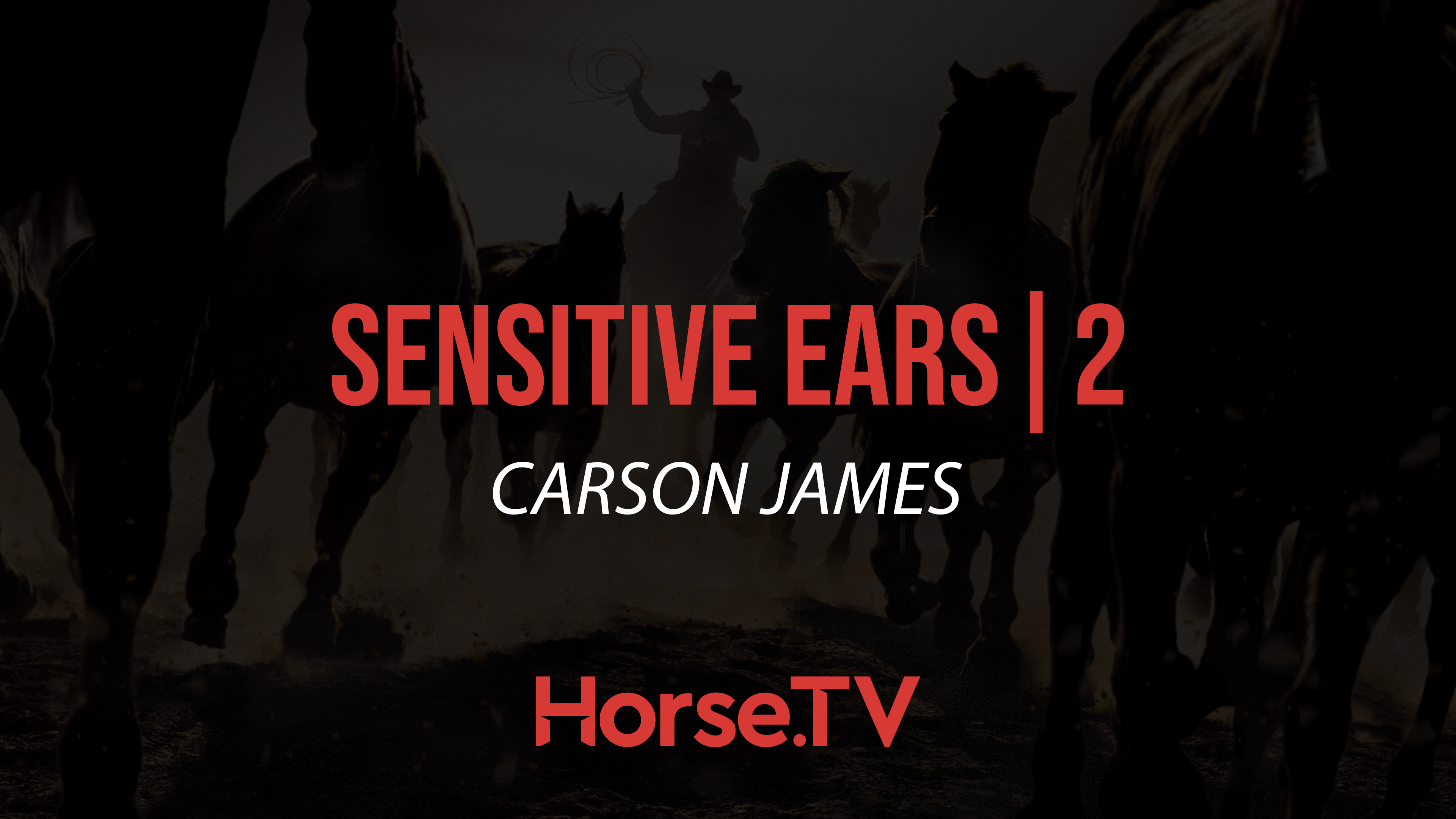 Sensitive Ears |2
