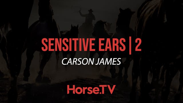 Sensitive Ears |2