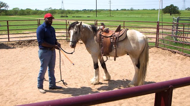 Desensitizing While Tapping Saddle