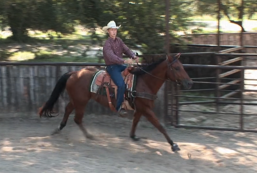 Episode 02 | Balance