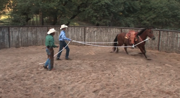 Episode 07 | Ground Driving