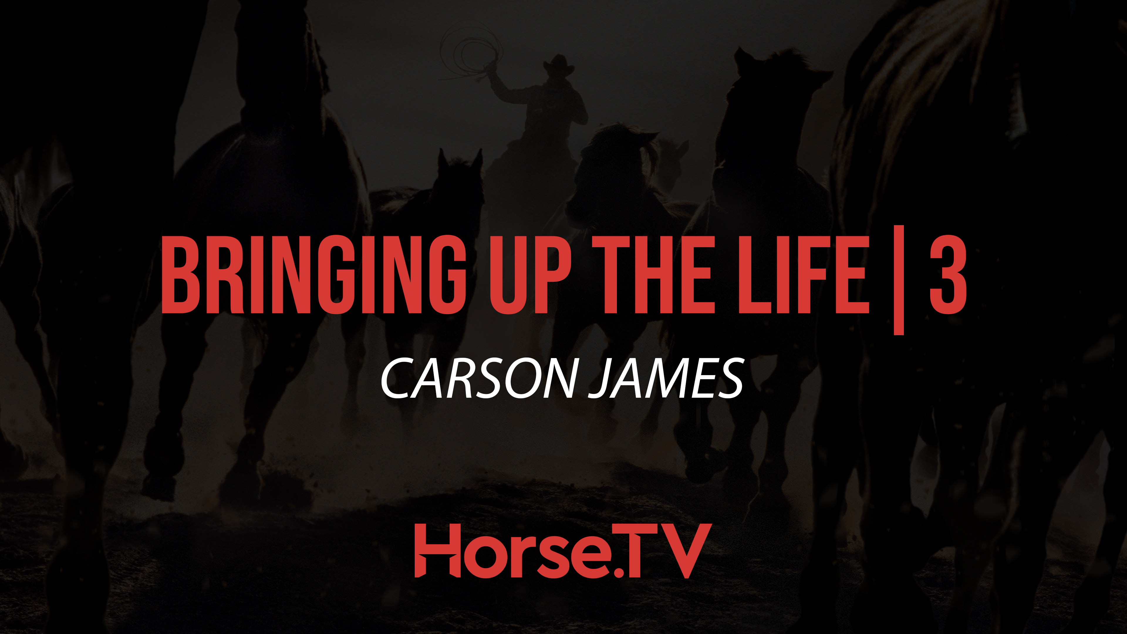 Bringing Up The Life |3