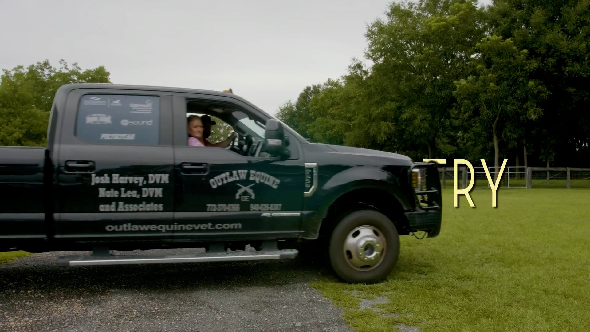Equine Dentistry | Wil Croncich