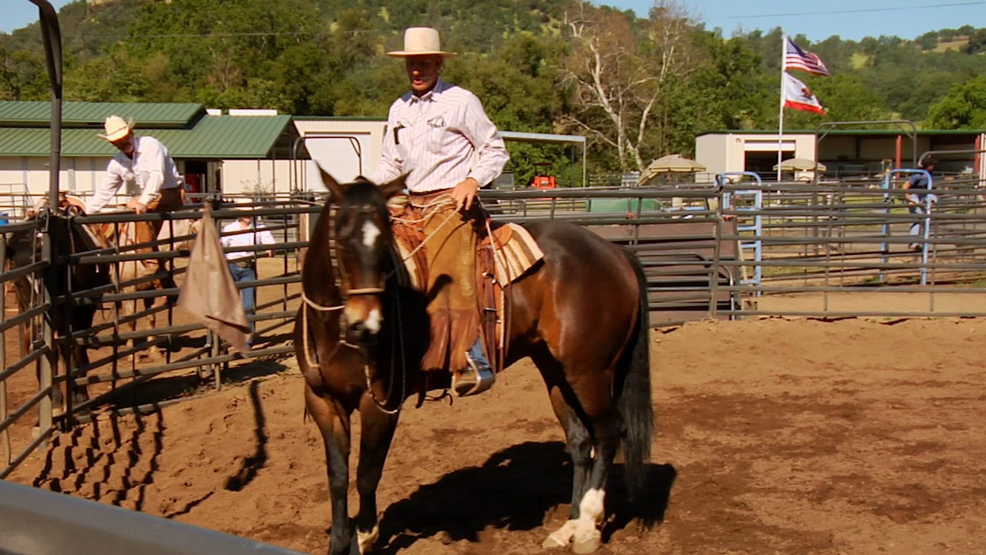 Moving Front & Hind | Flag