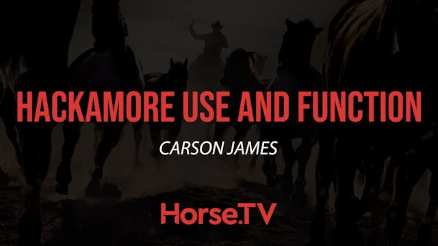 Hackamore Use And Function