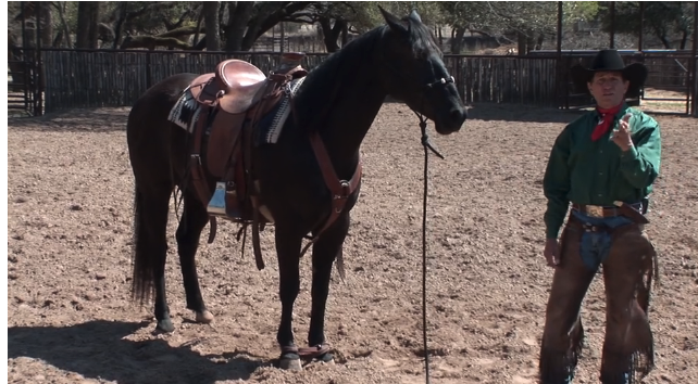 Episode 05 | Ground Tying