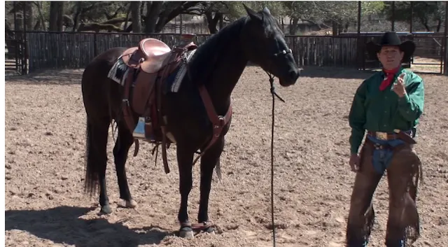 Episode 05 | Ground Tying