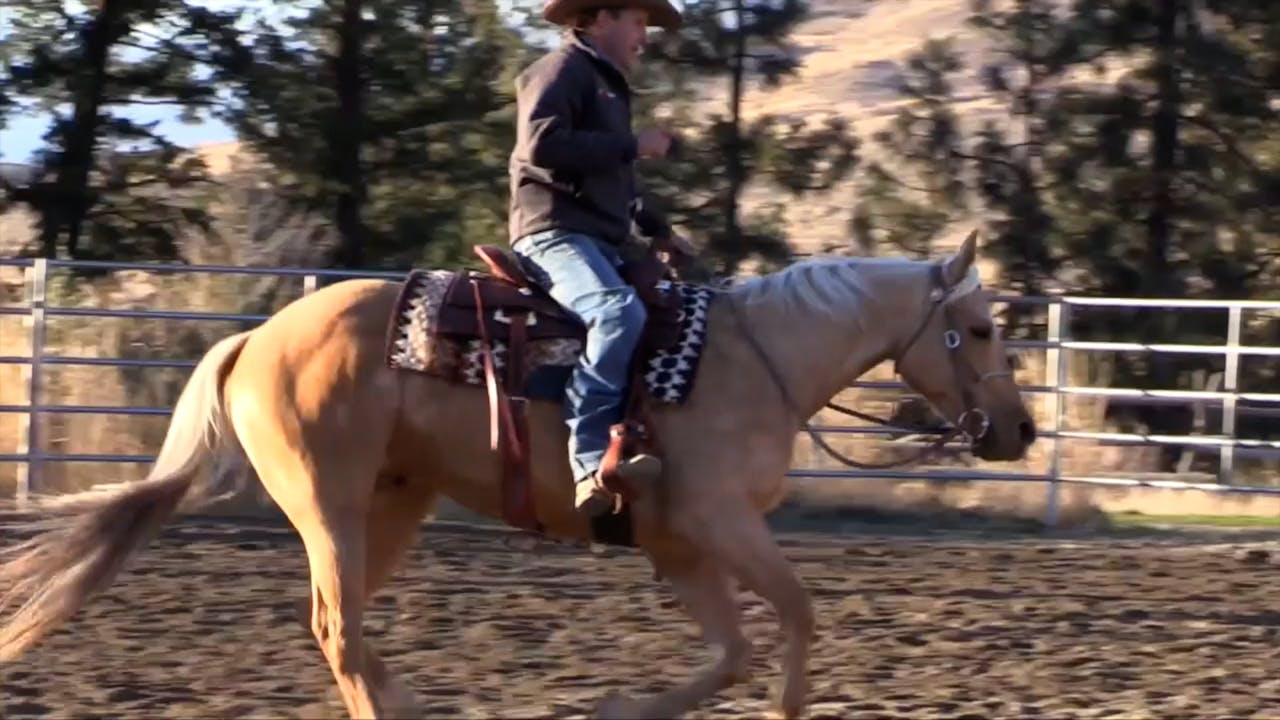 Sticky Feet Horse.TV