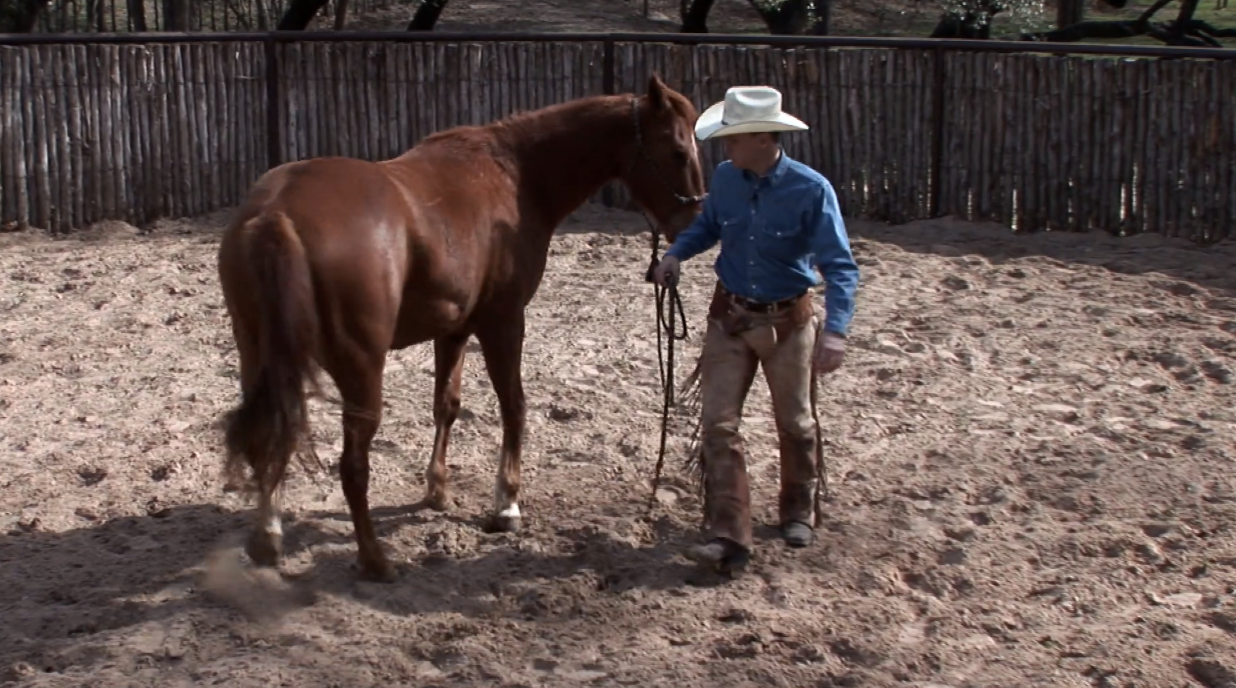 Episode 07 | Colt Start with Ty Murray - Pt 1