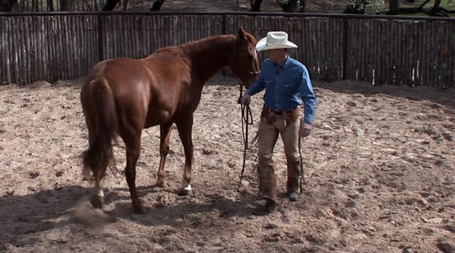 Episode 07 | Colt Start with Ty Murra...