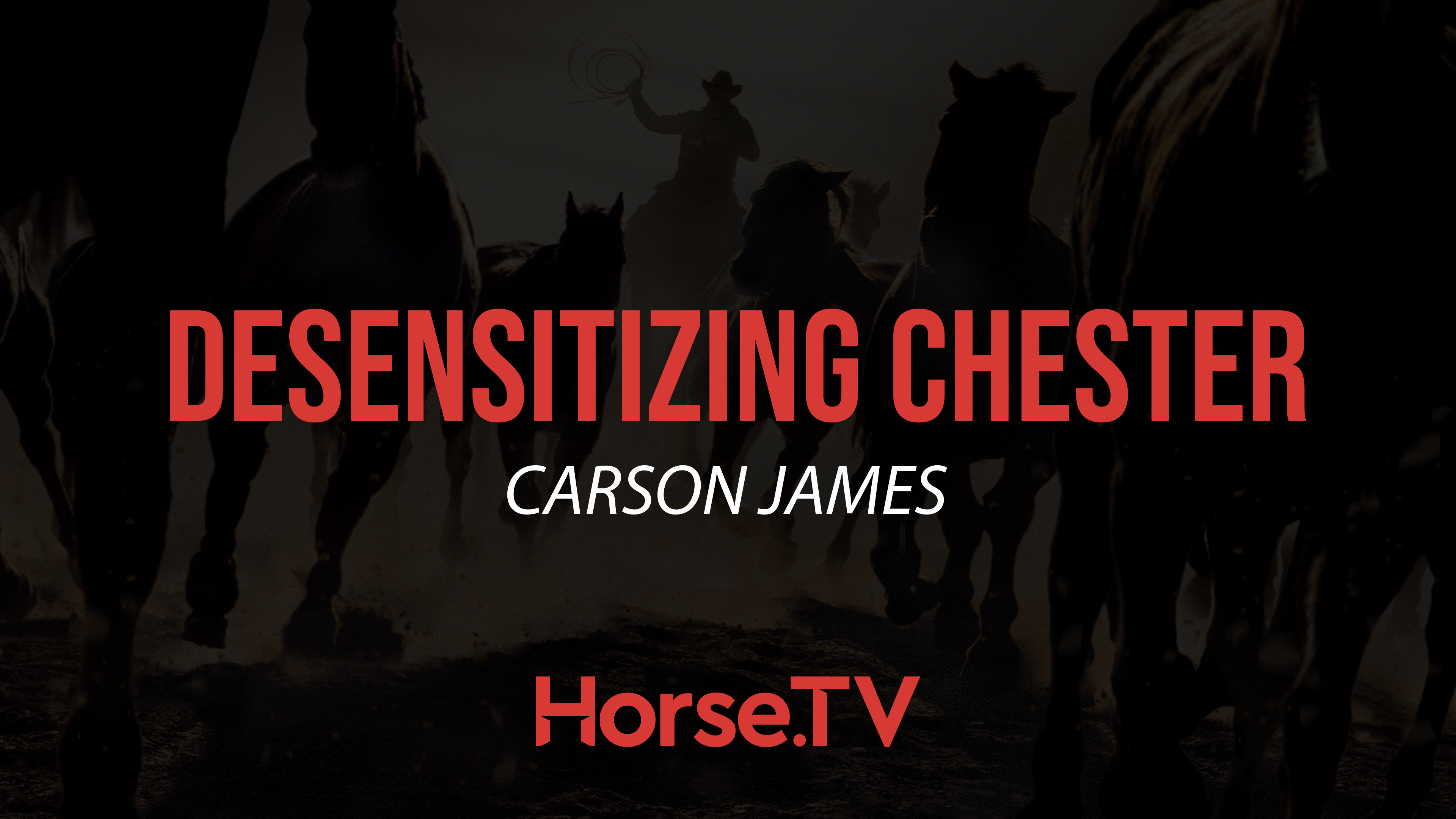 Desensitizing Chester