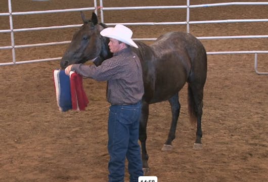 Episode 07 | Colt Starting Principles...