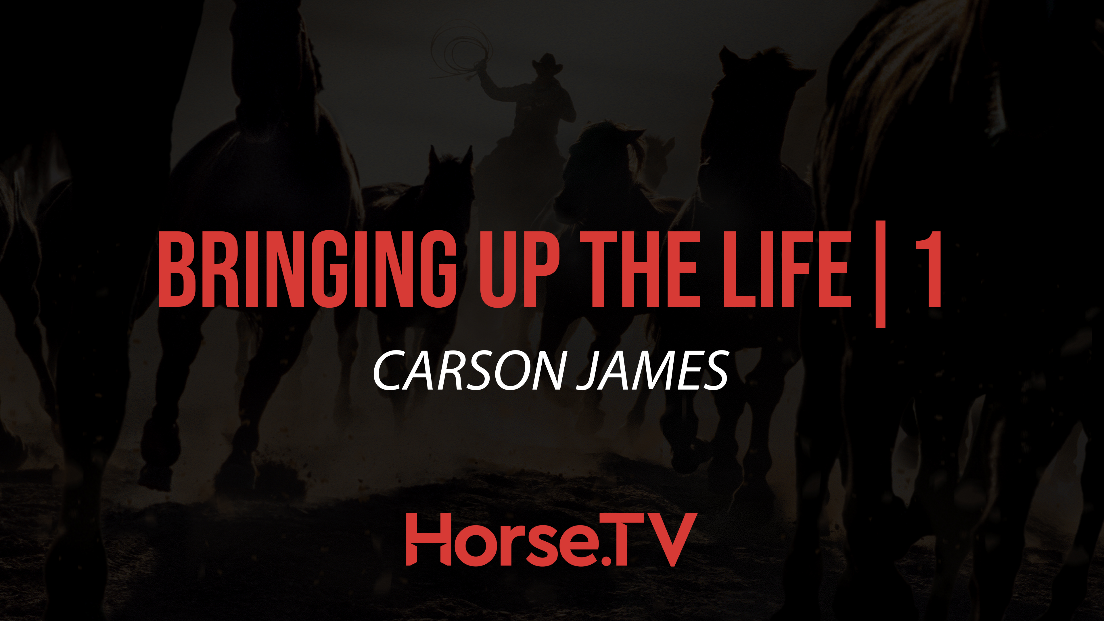 Bringing Up The Life |1