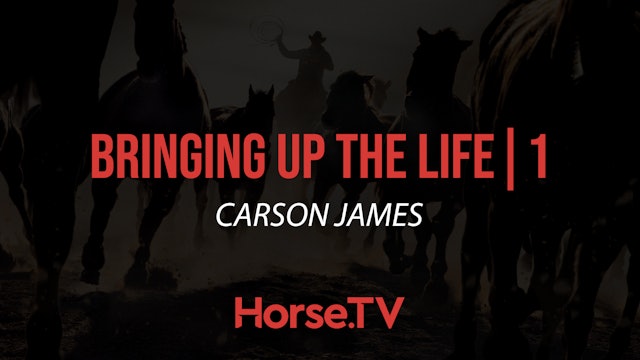 Bringing Up The Life |1